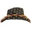 COWBOY HAT | HNZ-4143 | 1CT