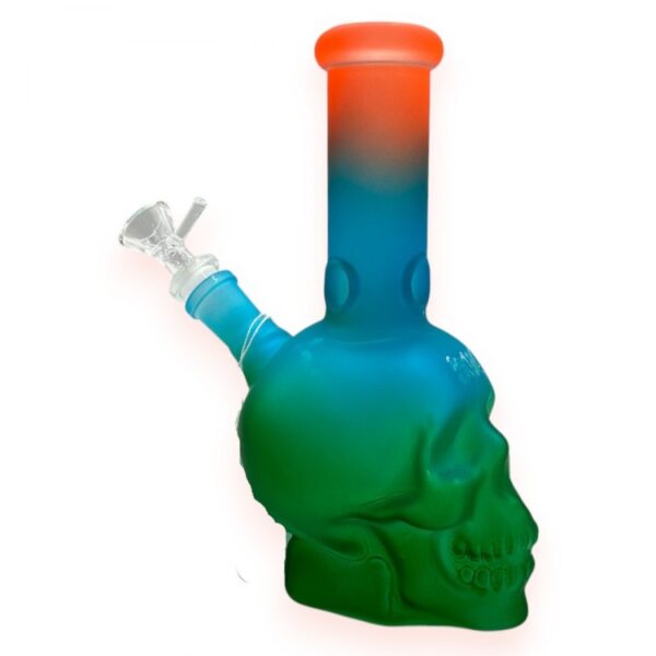 FROSTED COLOR SKULL | 9" WATER PIPE | 1CT | 4050-FW