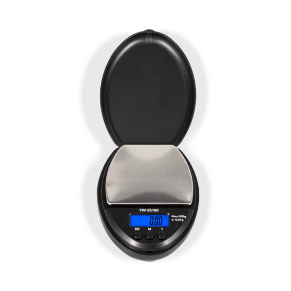 FAST WEIGH ES-100 | 100 X 0.01G | BLUE